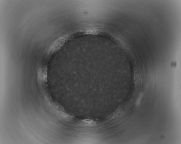 X0000111050502200907091637