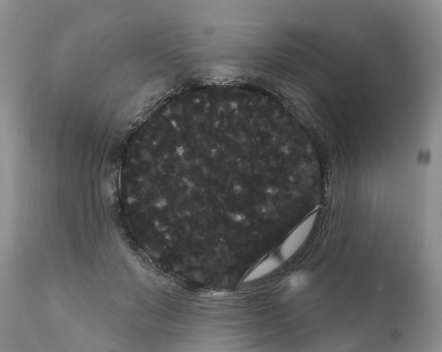 X0000111050503200907091637