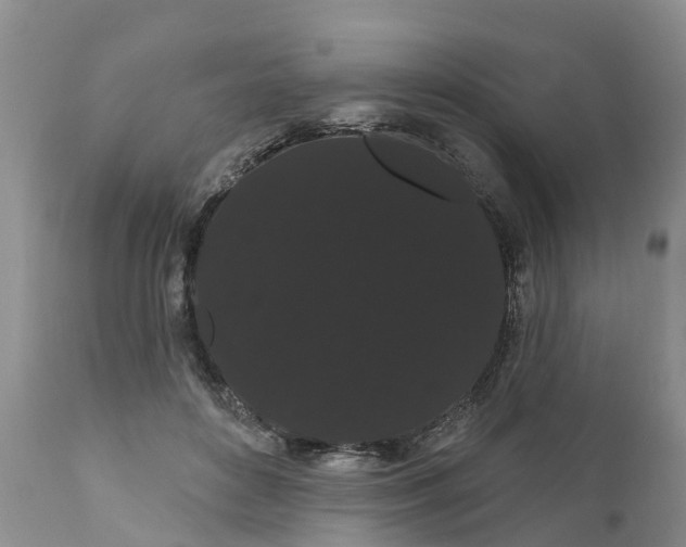 X0000111050504200907091637