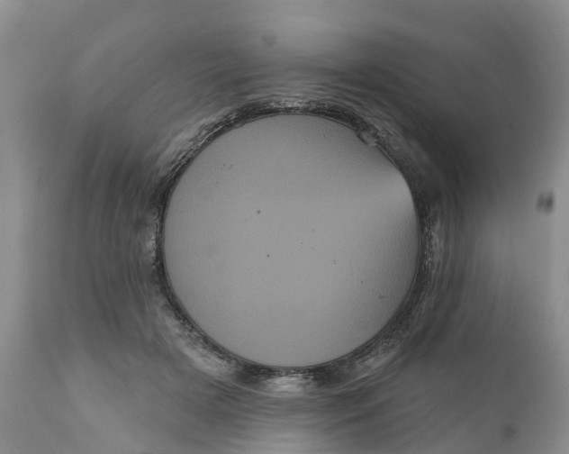 X0000111050505200907091637