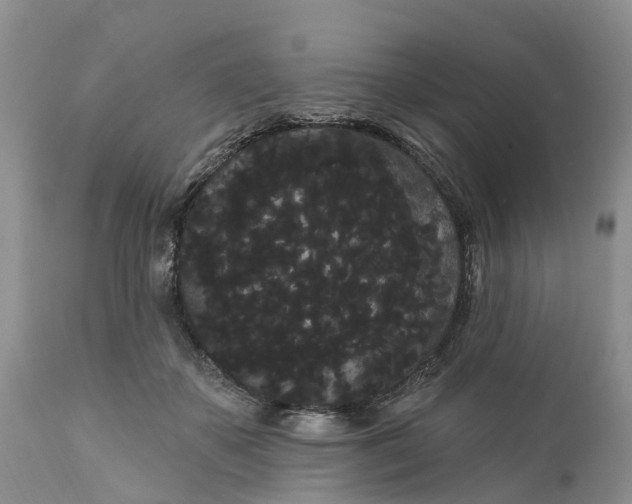 X0000111050507200907091636