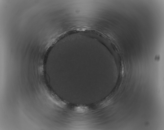 X0000111050508200907091636