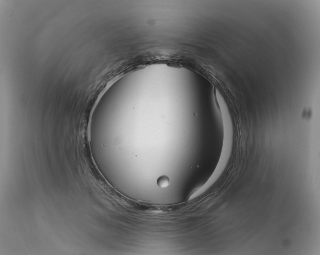 X0000111050509200907091636