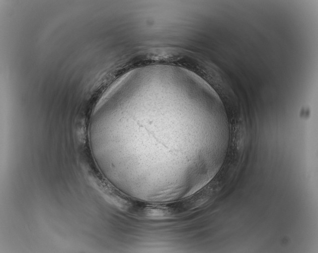 X0000111050510200907091636