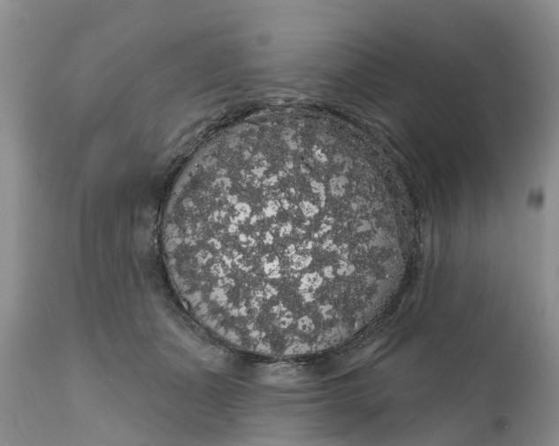 X0000111050511200907091636