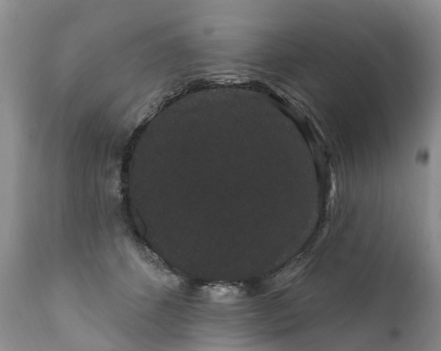 X0000111050512200907091636