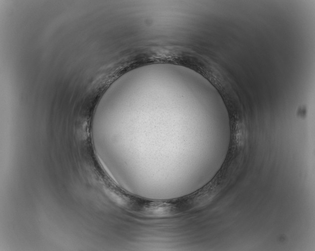 X0000111050514200907091636