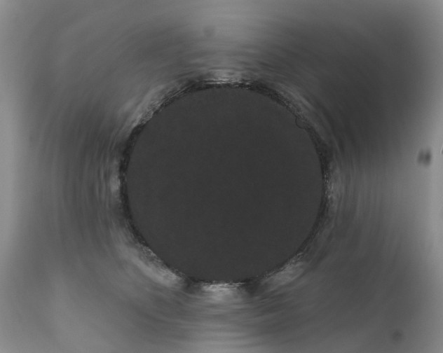 X0000111050516200907091636