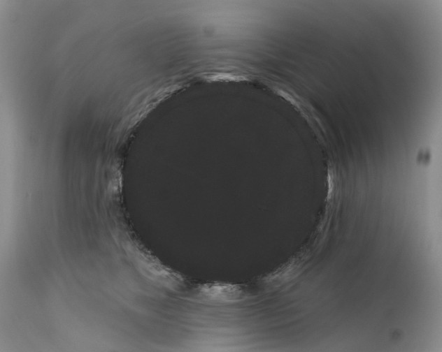 X0000111050517200907091636