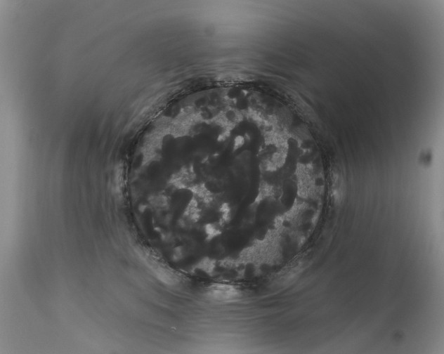 X0000111050519200907091636