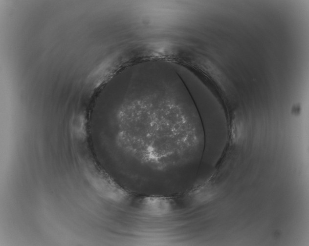 X0000111050520200907091636