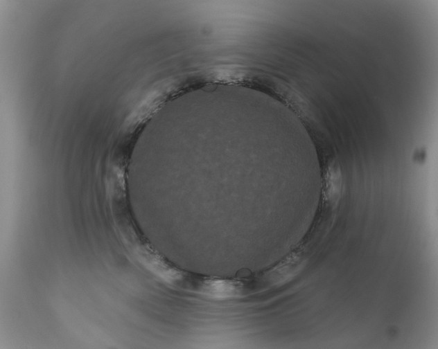 X0000111050522200907091636