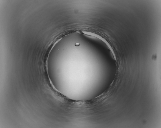 X0000111050524200907091636