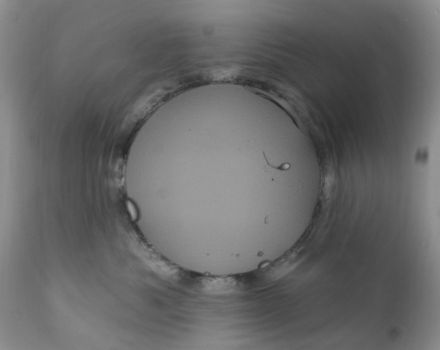 X0000111050525200907091636