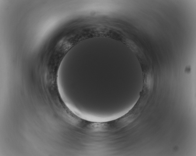 X0000111050526200907091636