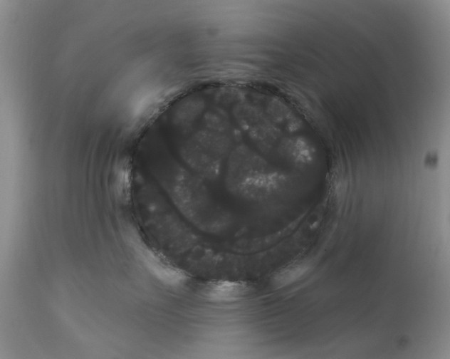 X0000111050527200907091636