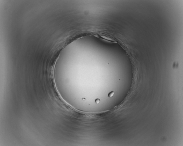 X0000111050528200907091636