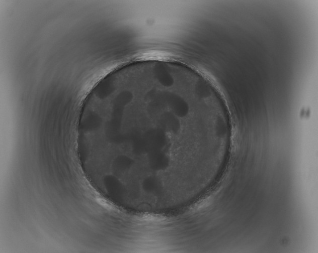 X0000111050529200907091636