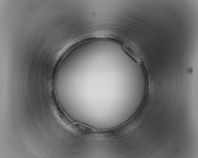 X0000111050530200907091636