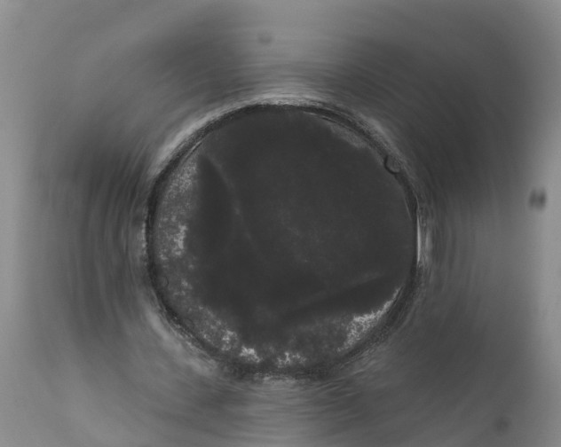 X0000111050531200907091636