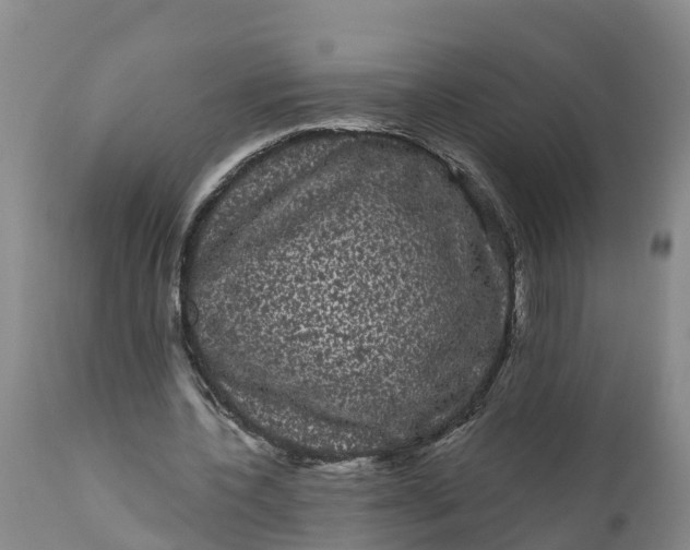 X0000111050532200907091636