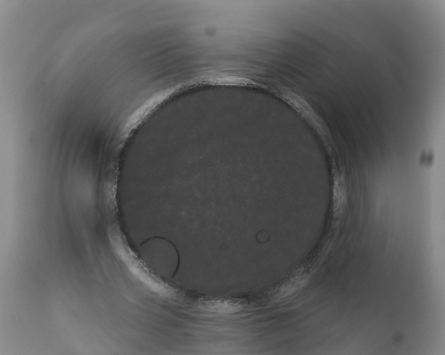 X0000111050533200907091636