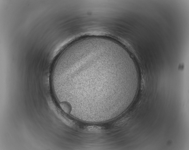 X0000111050535200907091636