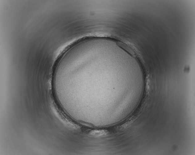 X0000111050536200907091636