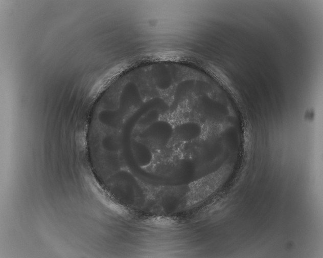 X0000111050537200907091636