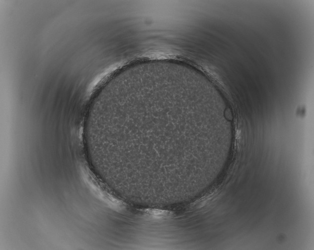 X0000111050539200907091636