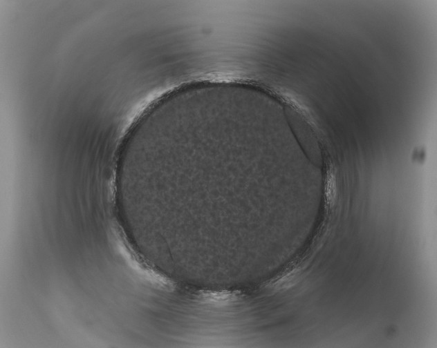 X0000111050540200907091636