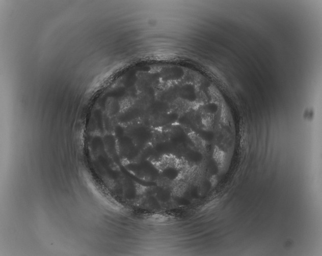 X0000111050542200907091636