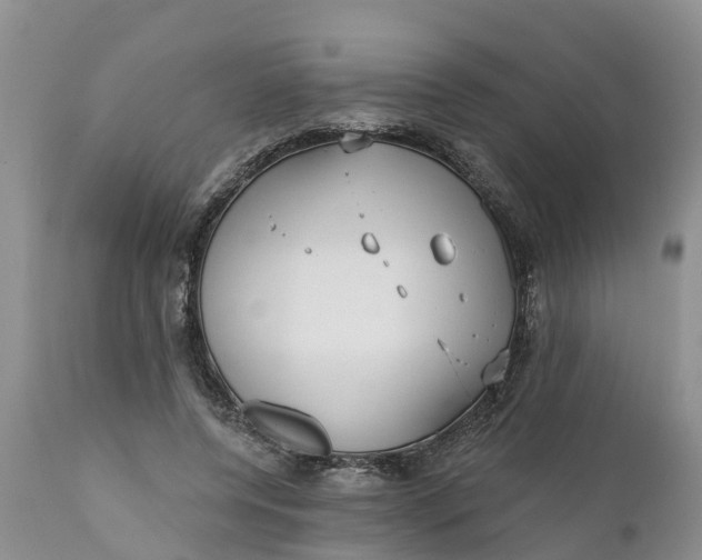 X0000111050544200907091636