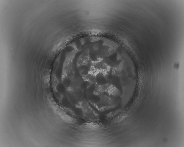 X0000111050545200907091636