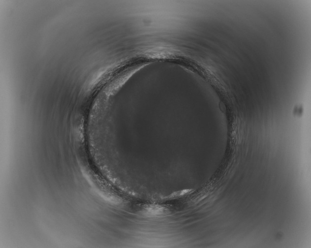 X0000111050547200907091636