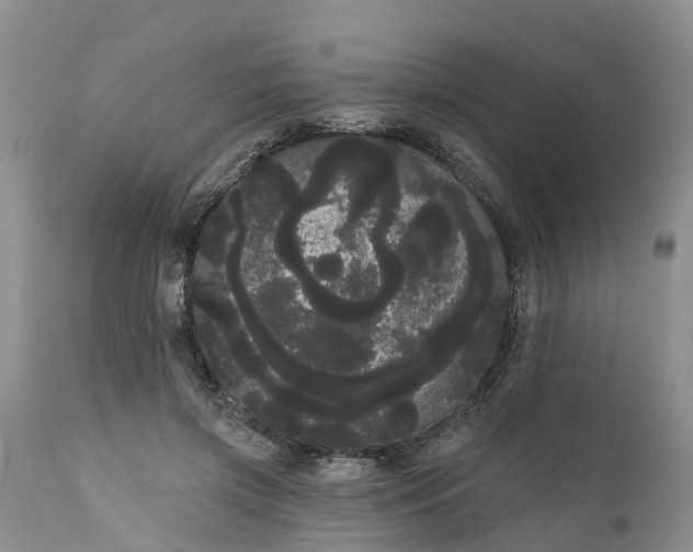 X0000111050549200907091636