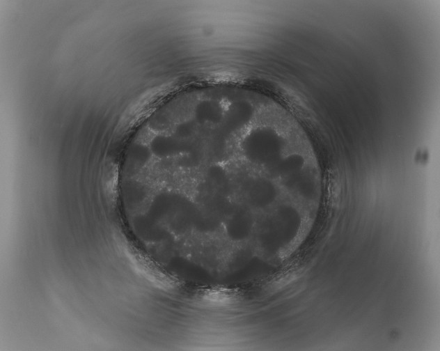 X0000111050550200907091636