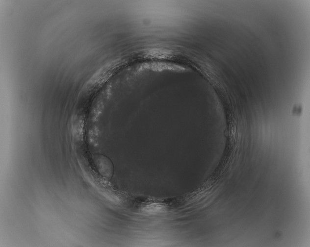 X0000111050551200907091636