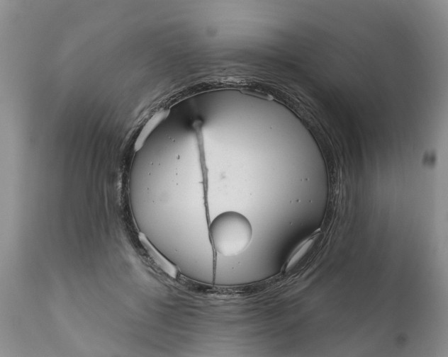 X0000111050552200907091636