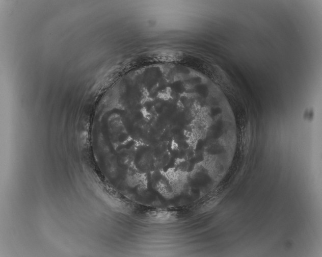 X0000111050553200907091636