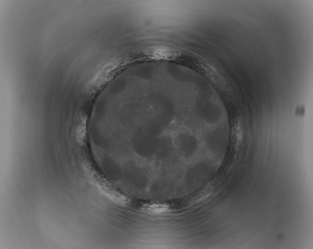 X0000111050554200907091636