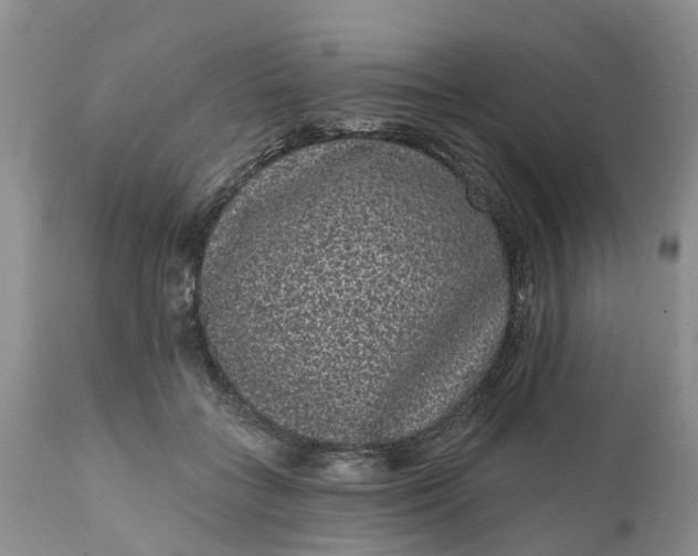 X0000111050555200907091636