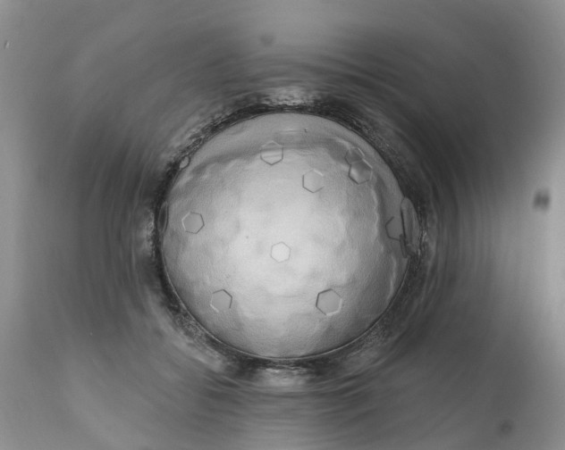 X0000111050556200907091636