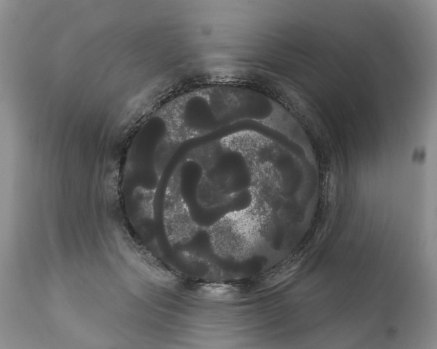 X0000111050557200907091636