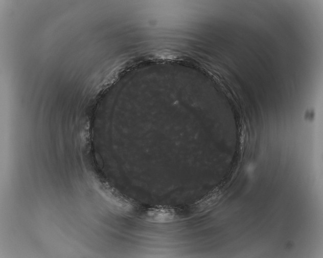 X0000111050559200907091636