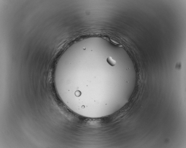 X0000111050560200907091636