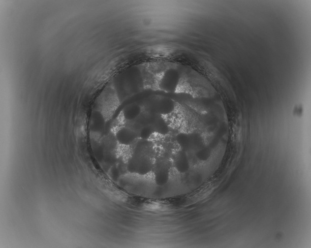 X0000111050561200907091636