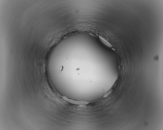 X0000111050562200907091636