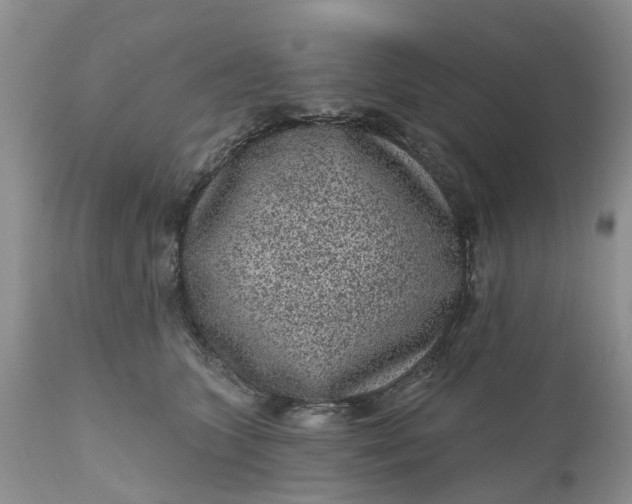 X0000111050563200907091636