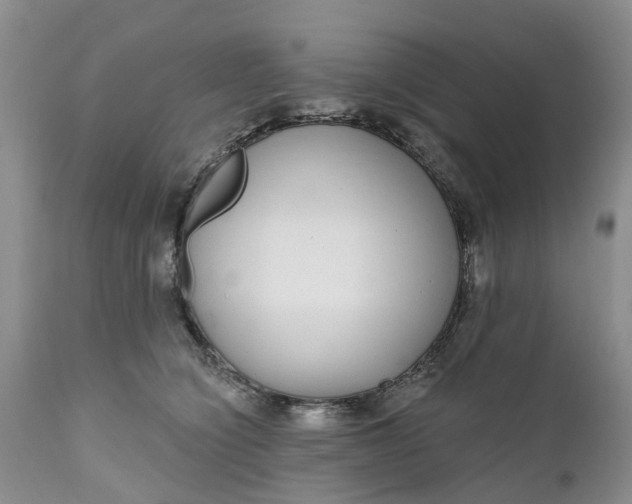 X0000111050564200907091636